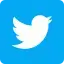 download twitter videos